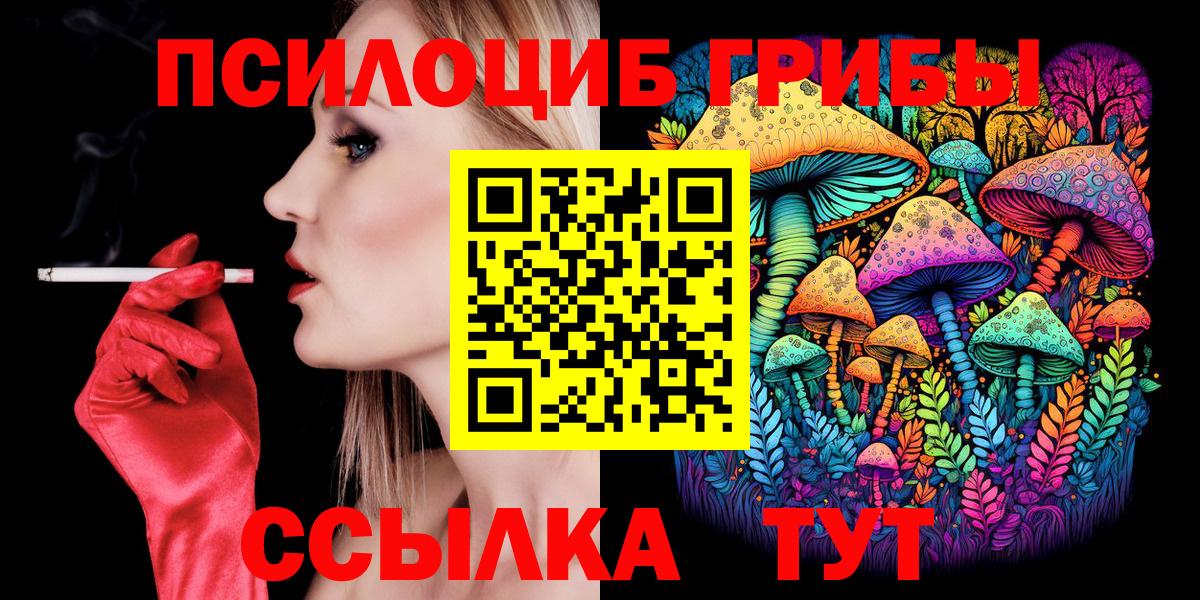 Псилоцибиновые грибы Psilocybe Канаш