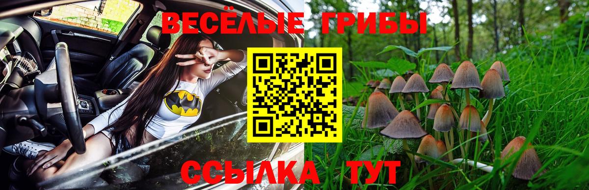 Псилоцибиновые грибы Psilocybe  где продают наркотики  Вход с VPN  Канаш  Галлюциногенные грибы мицелий 
